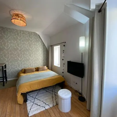 Cosy Mac Nab Apartment Vierzon Exterior photo